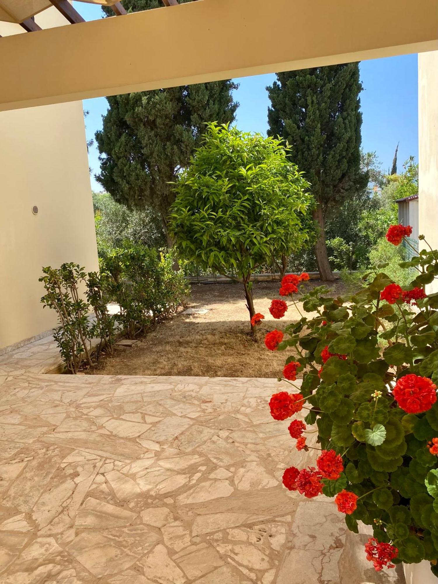 Villa Lorena プロタラス エクステリア 写真